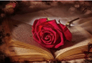 ariumologia