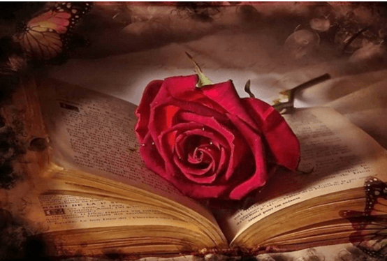 ariumologia
